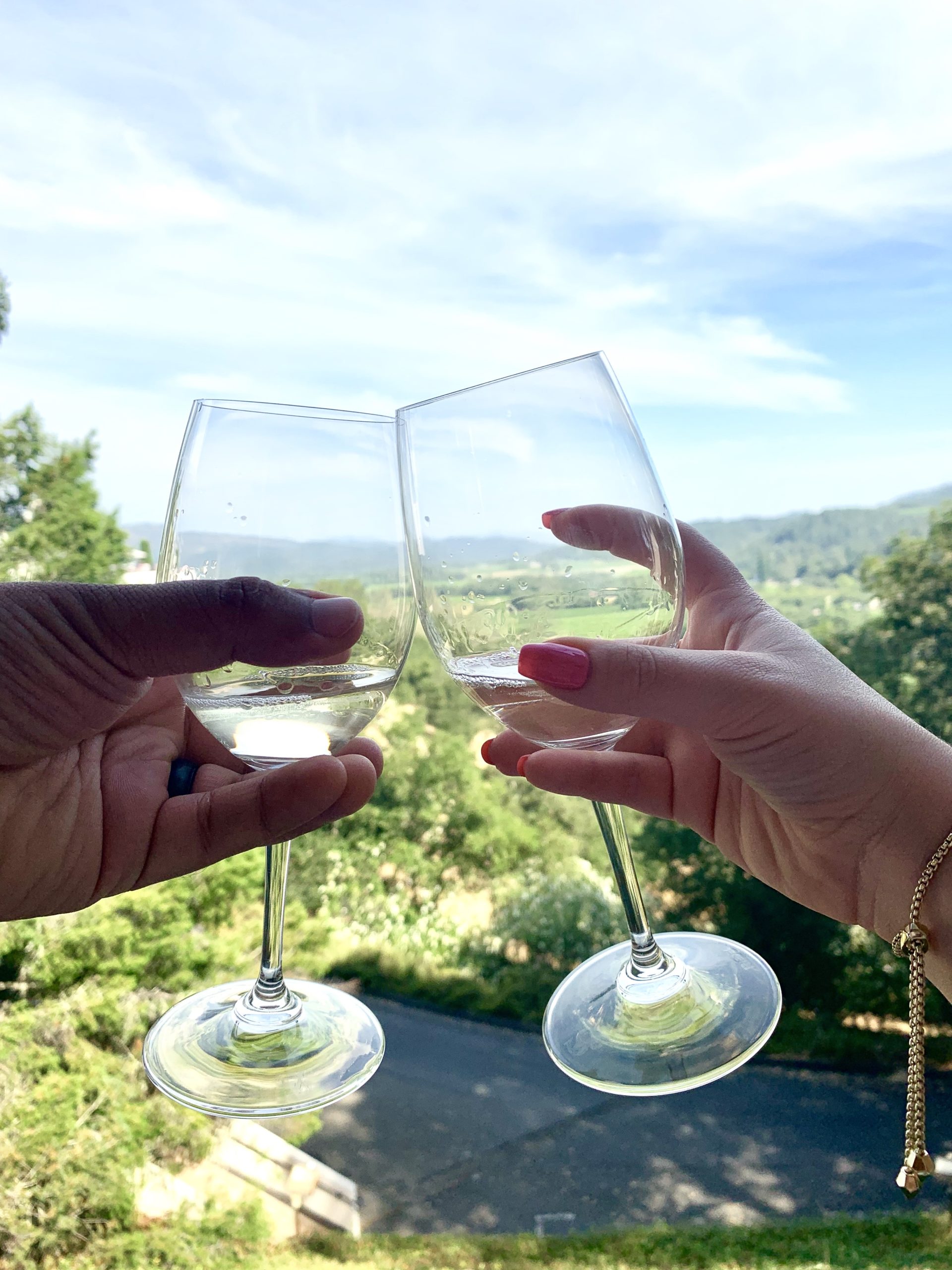 Cheers overlooking Napa Valley 