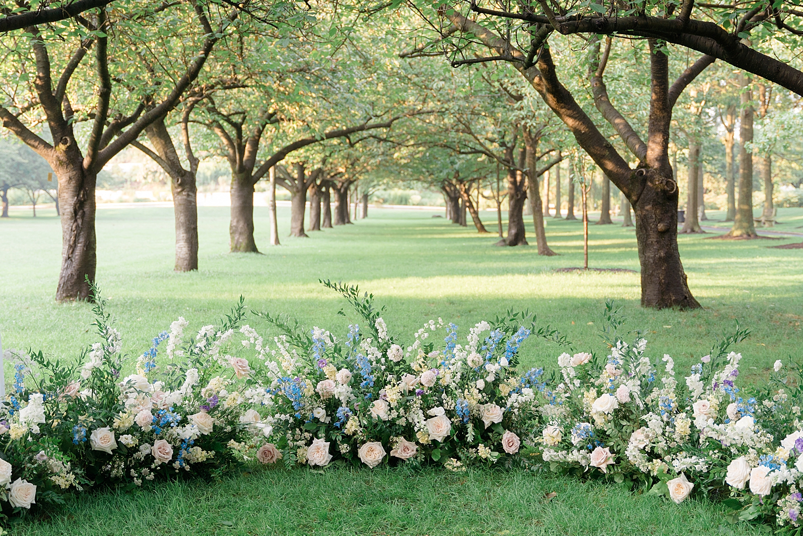 Shot of floral arrangements before two rows of trees.